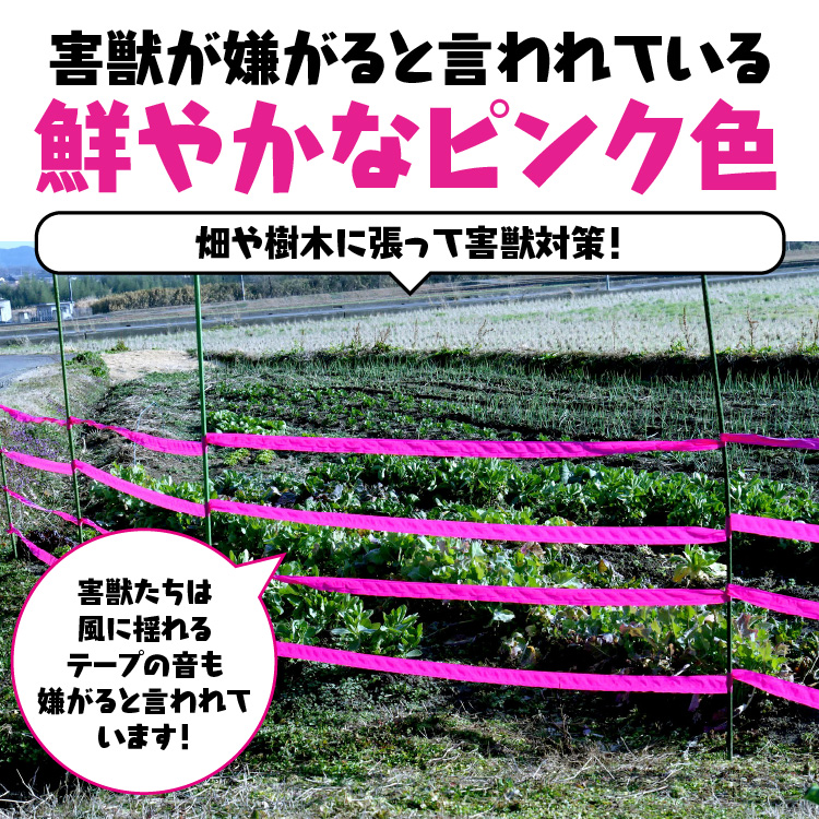 楽天市場 送料無料 耐候性識別テープ 来るなら濃いピンクテープ 50ミリ 0m イノシシ 鹿 対策 テープ 識別テープ ピンクテープ 測定用品 測量用品 害獣 蛍光ピンク 農林水産業 目印用テープ イノシシ 鹿 ピンク 新潟 兵庫 広島 長野 トイレのシール屋さん