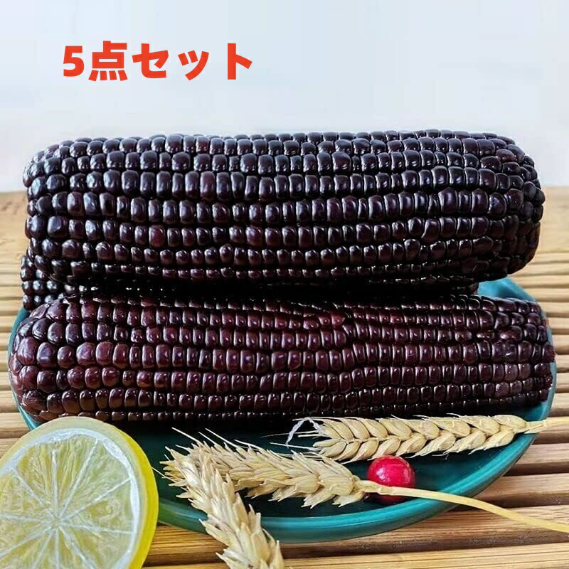 沖縄県産 紫もちとうもろこし Ｂ品 約4.4kg【常温便】① もっちもちの食感! 留守農場の紫トウモロコシ(5本)：千葉県産の