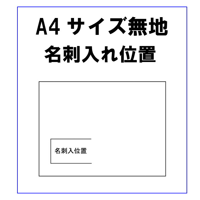 楽天市場 車検証入れ 100枚 印刷無し 名刺入れ１個付き カラー14色から1色お選び下さい 車検証いれ 車検証ケース ケース 車検証 サイズ 車用品 まとめ買い カー用品 カーグッズ みてこ かってこ