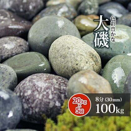 大磯 8分 100kg (20kg×5袋) | 約30mm 庭 砂利 玉石 玉砂利 砂利 玉砂利 庭 玉石 ガーデン 園芸 アジアン 敷き砂利 和 販売 石 雑草対策 じゃり ジャリ おしゃれ 庭石 ガーデニング 園芸用品 エクステリア ベランダ 防犯対策 リフォーム 庭園 造園
