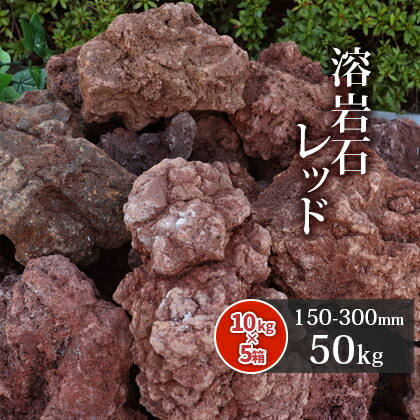 送料無料 溶ロック石塊 朱塗 150 300mm 50kg 10kg以上 5殻 庭 岩 石 熔岩 溶岩 ロック 噴火山 火山岩 朱塗 レッド 生まれつき 石前栽 御花畑 縁石 庭石 石庭 ガーデニング レイアウト アクアリウム ビオトープ タブ 号お任せ 形状お任せ Eurovisionbd Com