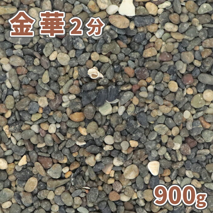 金華 2分 約5-10mm 900g 庭 砂利 おしゃれ 庭石 玉砂利 diy 敷石 販売 ガーデニング 園芸 ガーデン 玉石 敷砂利 化粧石 化粧砂利  サンプル 見本 少量 オシャレ 玉石砂利 植木鉢 プランター 観葉植物 71％以上節約