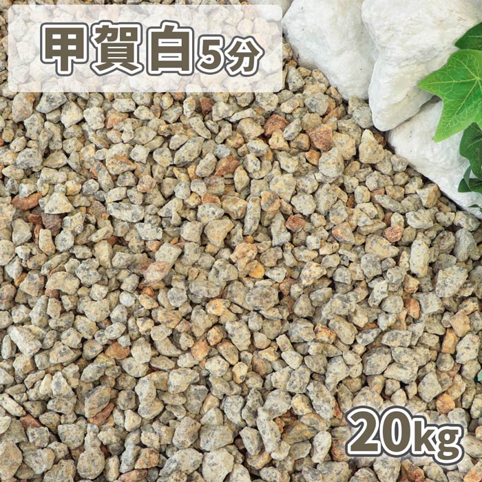 【楽天市場】＼7月1日ポイント2倍／甲賀白砂利 5分 (約14-21mm) 1500g | 砂利 庭 diy 白 ベージュ 敷石 敷く 庭石 おしゃれ  見本 サンプル 1.5キロ 少量 お試し 販売 マルチング ジオラマ 化粧石 化粧砂利 鉢 プランター 花壇 中粒 ガーデニング 園芸 ガーデン ...