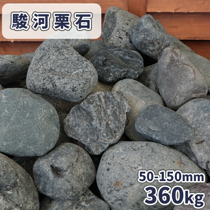 suruga150-360.jpg