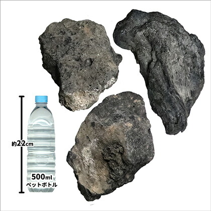 貨物輸送無料 溶岩石材 混じり合うネグロイド 150 300mm 40kg 8kg以上 5覆い 石 石前栽 苑地石 レイアウト 庭 水盤 水槽 ガーデニング Diy 園芸 開 し掛る 花畑 縁石 土留め 石組 テラリウム ビバリウム アクアリウム設備 レイアウト用品 熔岩 外部姿勢 Jarocamora Com