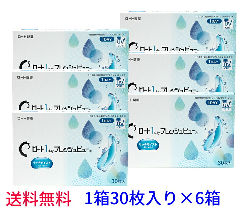 【6箱書き割り貨物輸送無料】ロート ワンデーフレッシュビューリッチモイスト【1箱30枚入り口・入口×6箱】1day 近眼用 まとめ買い
