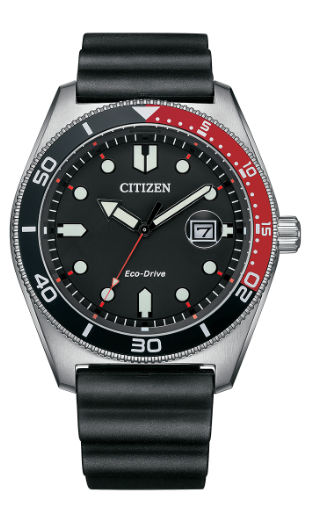 CITIZEN シチズン エコドライブ 海外モデル AW1769-10E