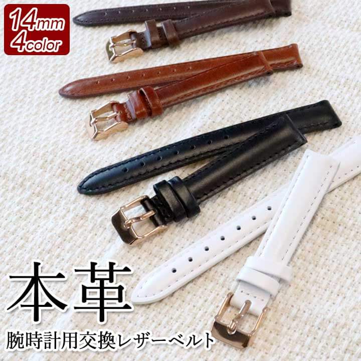 〚美品〛ダミエ WATCH ベルト (ブラウン) bkb006_01.jpg