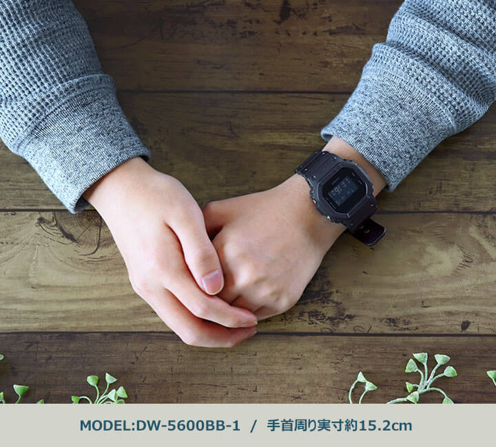Dw 5600bb 1 2