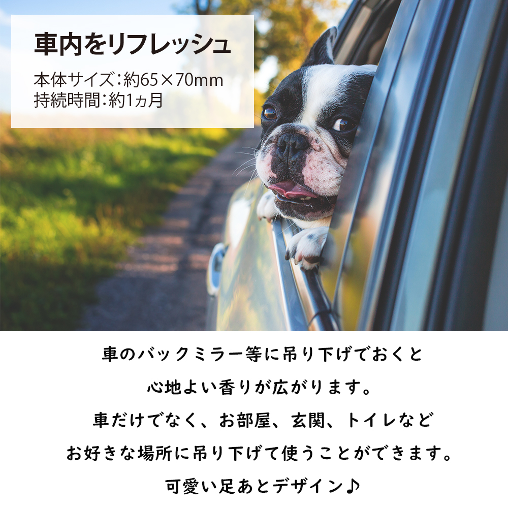 楽天市場 ネコポス対応 ファンタジーワールド Pet House カーフレッシュナー ラベンダーグリーンティー Ofa C06 車用芳香剤 M便 1 1 ときめきライフ コスメ館 2号店