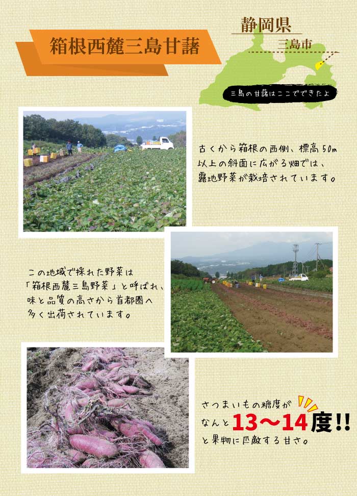 時之栖オリジナル!!プレミアムスイートポテト