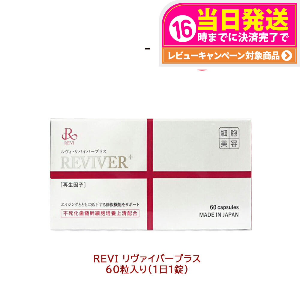 チップルビーフィット　ダイエットサプリ　Ruby Fit 2箱 ビューティーオンライン / ルビーフィット
