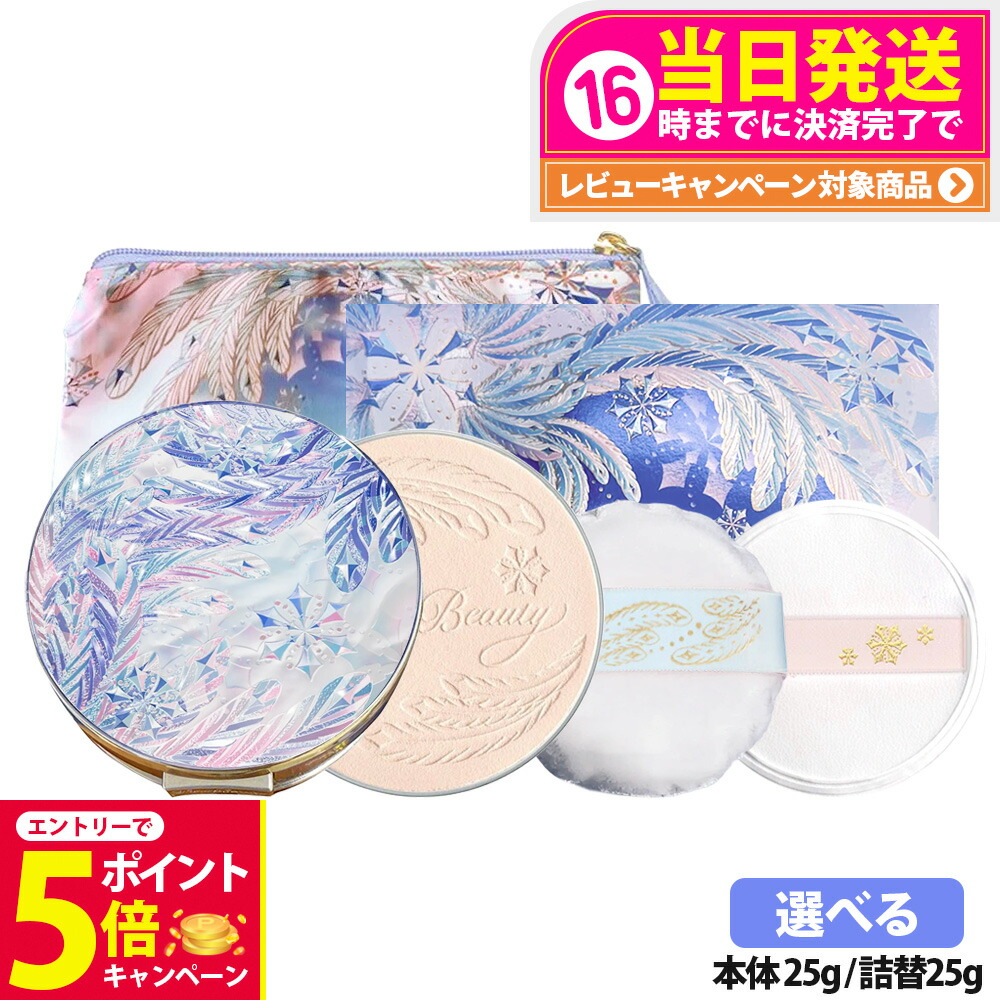 スノービューティー ブライトニング スキンケアパウダー 25g 2024 2個 SNOW BEAUTY 【送料無料】医薬部外品 資生堂 スノービューティー