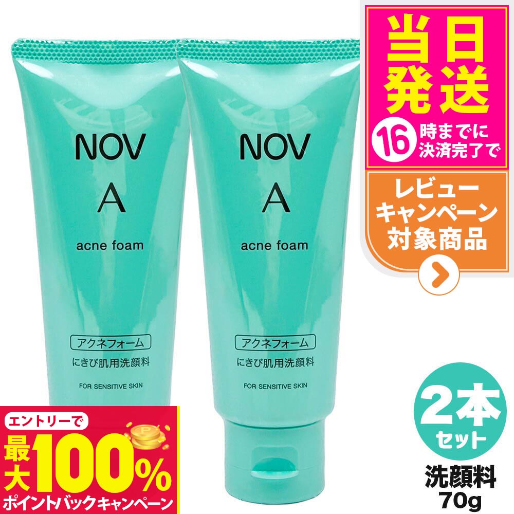 楽天市場】【国内正規品】常盤薬品 NOV ノブ A アクネフォーム 70g