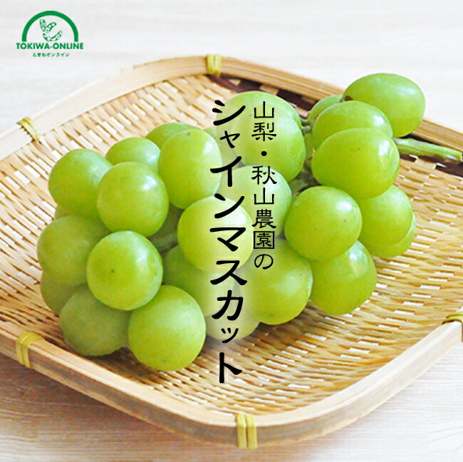 楽天市場】シャインマスカット 2kg 7月 お中元 産地直送 送料無料 農園直送 贈答 ギフト ぶどう 種無し 皮なし ブドウ 葡萄 贈り物 進物 神宮寺ぶどう 星野農園 : ときわオンライン 楽天市場】シャインマスカット 2kg 7月 お中元 産地直送 送料無料 農園直送 贈答 ギフト ぶどう 種無し 皮なし ブドウ 葡萄 贈り物 進物 神宮寺ぶどう 星野農園 : ときわオンライン
