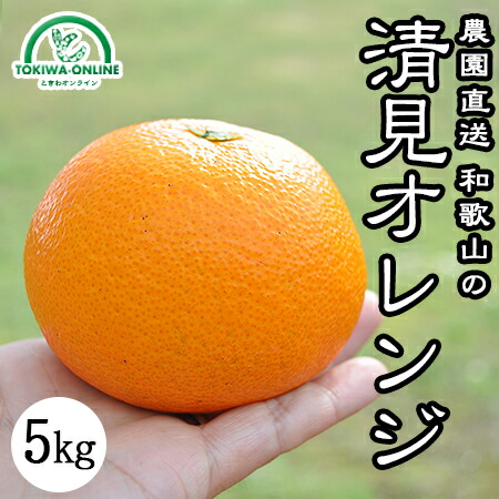 清見オレンジ 清見タンゴール みかん 5kg 送料無料 無農薬 和歌山 産地直送 グリーンジャンクション
