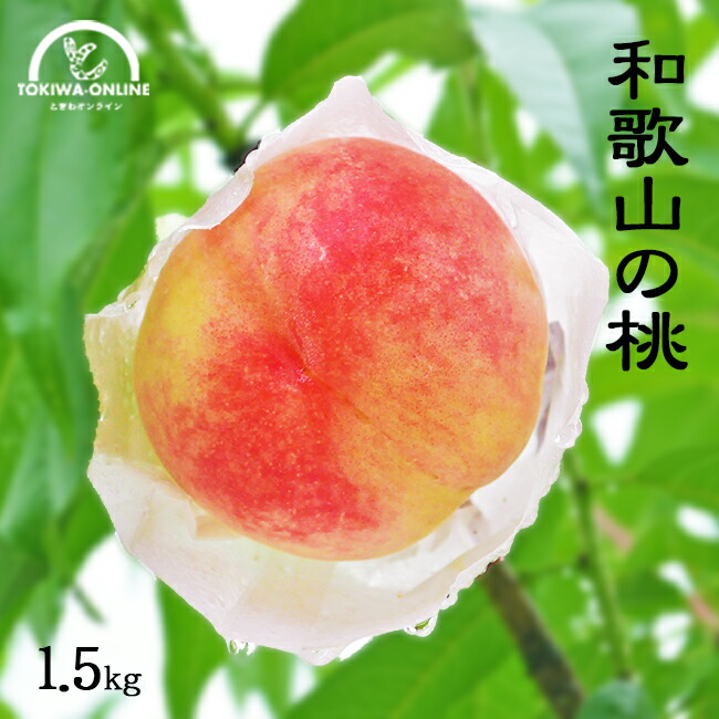 父の日 桃 無農薬 お中元 和歌山 ギフト 産地直送 1.5kg  御中元 贈り物 プレゼント 農園直送 白鳳 日川白鳳 川中島白鳳 もも グリーンジャンクション