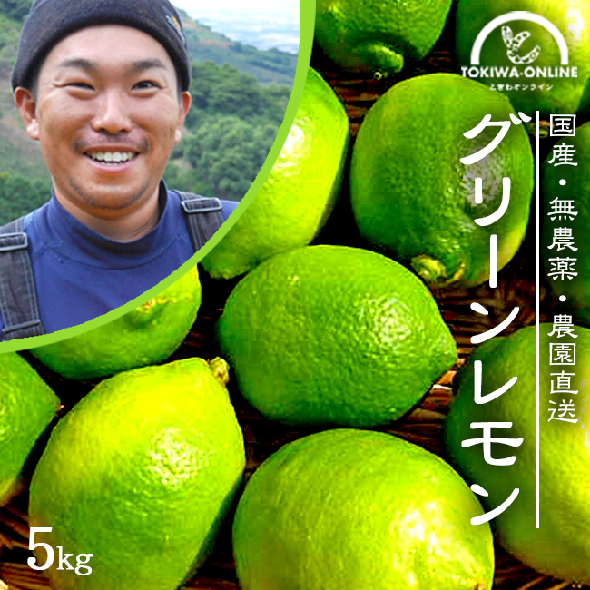 C-8 天草産 マイヤーレモン 1.2kg(国産グリーンレモン)