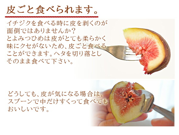 いちじく 生 オーガニック 9 12玉入 無農薬 進物 贈答 福岡県産 果物 ギフト イチジク くだもの 井上農園 septicin Com