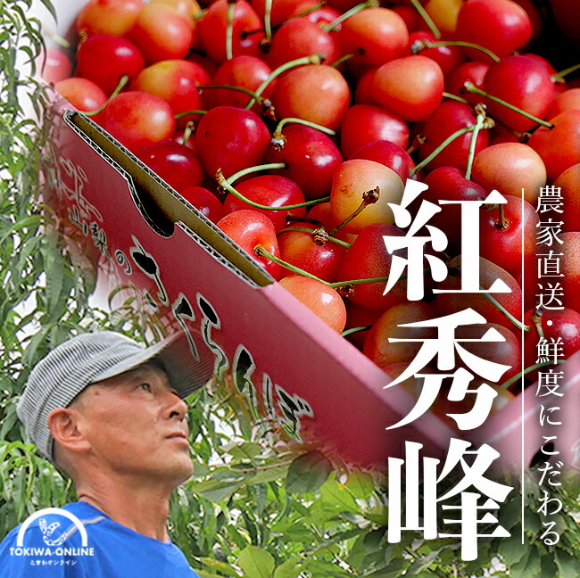 父の日 さくらんぼ 紅秀峰  L以上 送料無料 1kg ギフト 農家直送 山梨 サクランボ 贈り物 贈答 ギフト 金丸農園