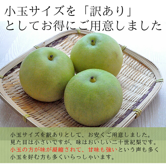 楽天市場 20世紀梨 訳あり 3kg 二十世紀梨 鳥取 送料無料 果物 鳥取県 梨 なし ナシ 敬老の日 ときわオンライン