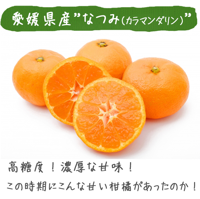 最安値 なつみ みかん 南津海 カラマンダリン 送料無料 kg 愛媛 八幡浜 産地直送 農園直送 箱買い ノーワックス マルナカ農園 海外最新 Lexusoman Com