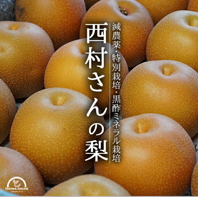 楽天市場】梨 5kg 新高 豊水 新興 幸水 贈り物 ギフト 農家直送 減農薬