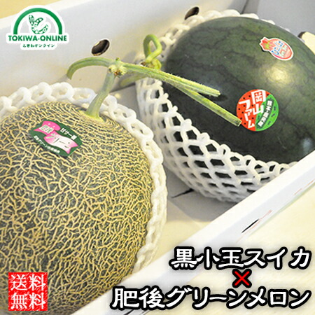 父の日 お中元 メロン スイカ  熊本 肥後グリーン 小玉 すいか  御中元 フルーツ 果物 ギフト ひとりじめ bonbon  約5.5kg 贈答用 農園直送 熊本 岡山農園