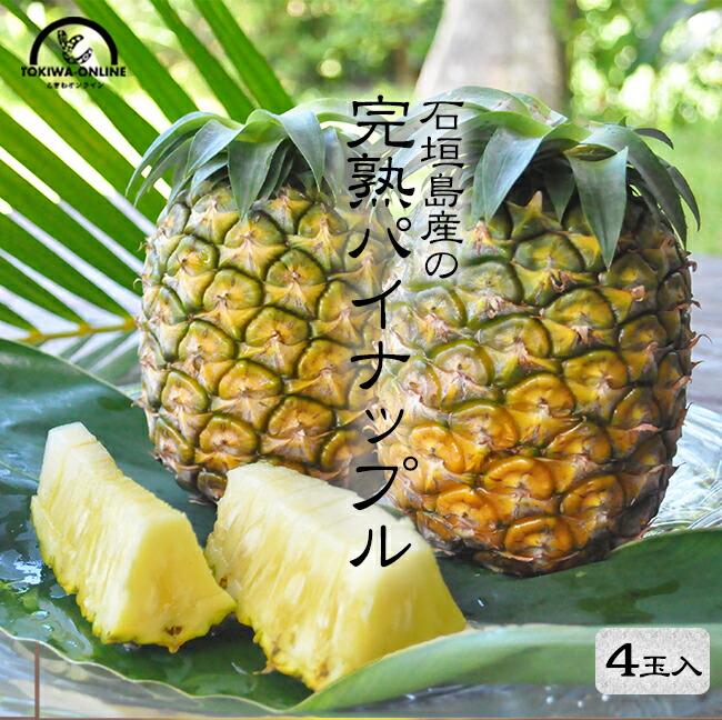 開催中 パイナップル 沖縄 石垣島 4玉入 4kg 前後 送料無料 とっておきし福袋 果物 パイン プレゼント お中元 ギフト 国産 フルーツ