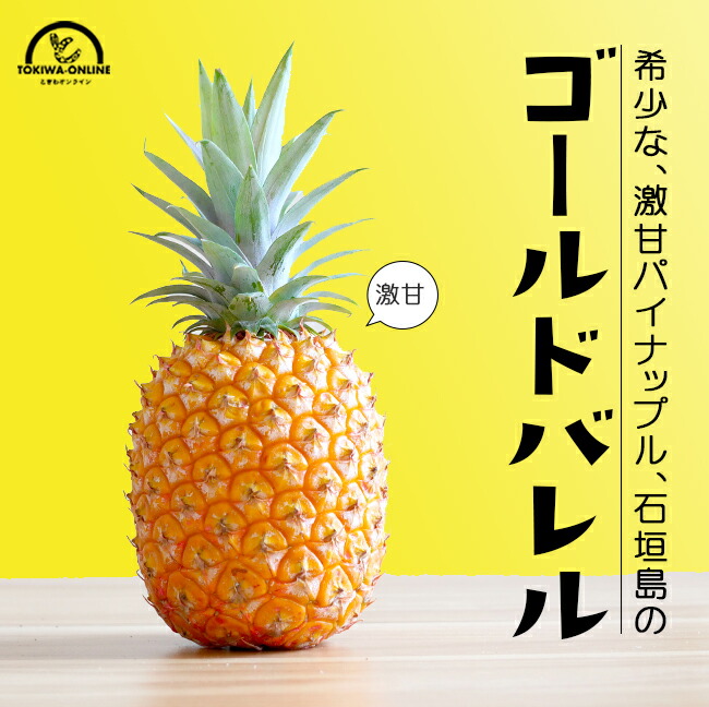 ゴールドバレル パイナップル 中玉 4玉入 沖縄 石垣島 国産 パイン お中元 家庭用 自分用 プレゼント  セイモリファーム