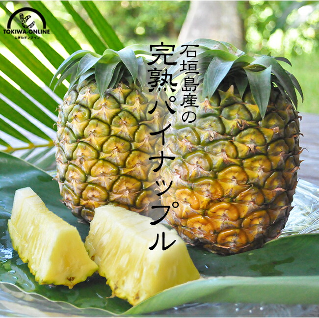 パイナップル 国産 沖縄 4玉入 4kg お中元 石垣島 送料無料 果物 フルーツ ギフト プレゼント パイン セイモリファーム