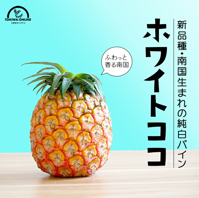ゴールドバレル パイナップル 中玉 4玉入 沖縄 石垣島 国産 ゴールドバレル パイナップル 中玉 4玉入 沖縄 石垣島 国産