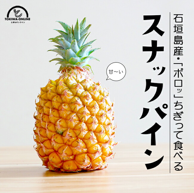 スナックパイン パイナップル 4玉入 沖縄 石垣島 国産 ボゴール パイン 父の日 お中元 ギフト 贈り物 プレゼント  生盛ファーム