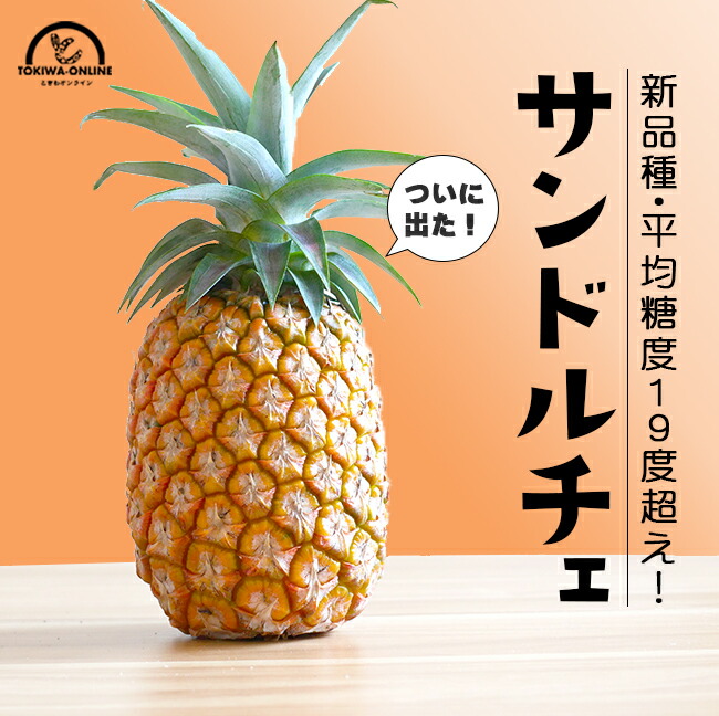 パイナップル サンドルチェ 大玉 4玉入 沖縄 石垣島 国産 パイン お中元 ギフト 贈り物 プレゼント  セイモリファーム
