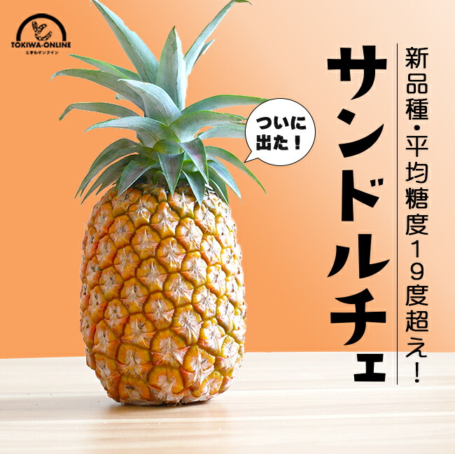 サンドルチェ パイナップル 中玉 4玉入 沖縄 石垣島 国産 パイン お中元 家庭用 自分用 プレゼント  セイモリファーム