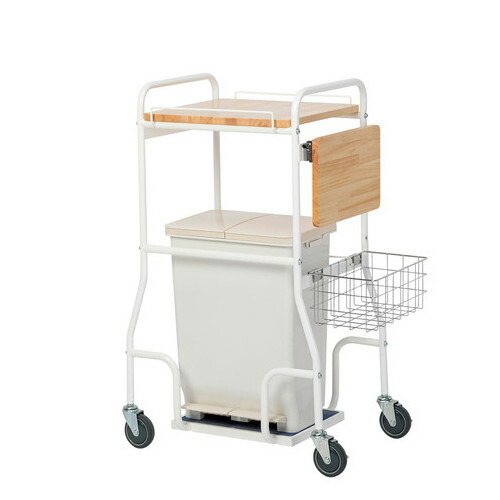 テラモト 御襁褓リコール手押し車II 日常御勤めを好いたらしいに DS2401020 4904771900230