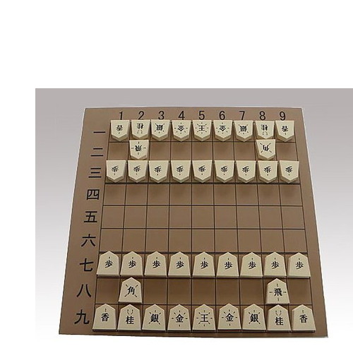 ビッグかんたん棋 滑りにくく持ち分かりやすい原料品を当て嵌める 命のせんたく 社会復帰装置