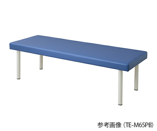 カラフル診察台（ベッド高さ500mm）　ライトブルー　4589638301971