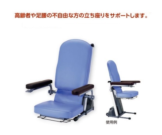 Tokiwa Camera France Bed Whole Body Shiatsu Massager Folding
