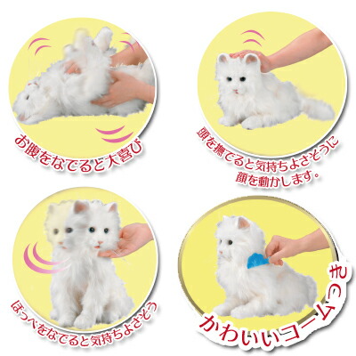 日本総販売元 セガトイズ 夢猫 夢ねこプレミアム 日本総販売元 子供からお年寄りまで皆に愛される 夢猫 シリーズ シリーズ 贈りもの トキワカメラロボケア玩具 ペットを飼いたくても飼えないすべての方に