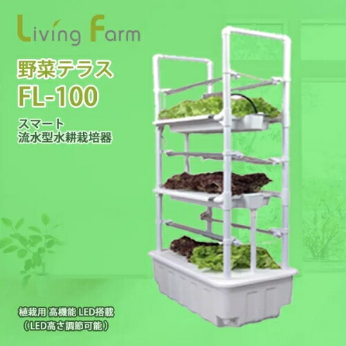 リビング耕園【製造会社直送品・代引っ張ること不可】 水筋型水耕作りだす器 蔬菜中庭 LF-FL-1100