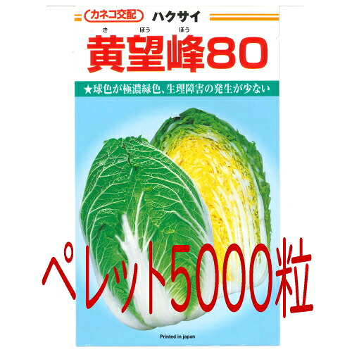 【入荷次第次第に積みだし】カネコ種苗 黄望峰８０ 白菜 ペレット５０００粒