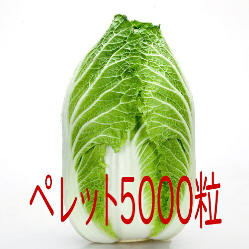 【入荷次第出荷】カネコ種苗　黄望峰９０　白菜　ペレット５０００粒