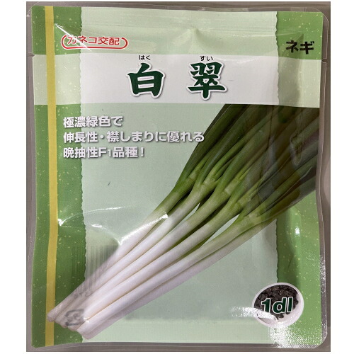 【入荷次第出荷】カネコ種苗　白翠　葱　１ｄｌ