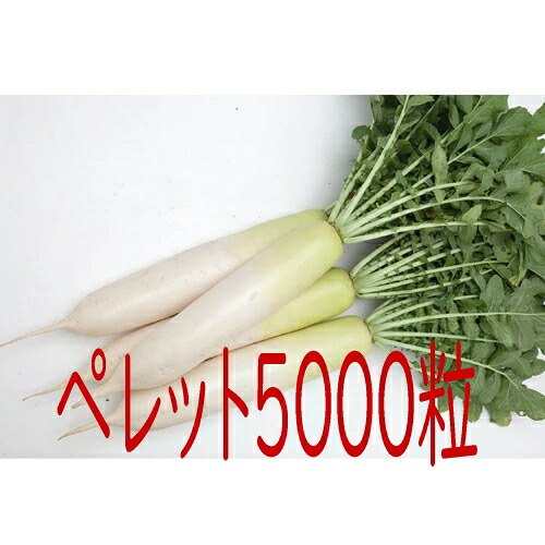 【入荷次第出荷】カネコ種苗　春大慶（ＫＡＤ－２０１Ｂ）　大根　ペレット５０００粒