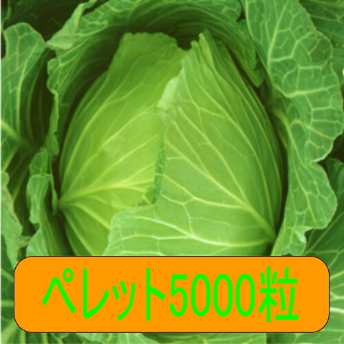 【入荷次第次第に積みだし】カネコ種苗 冬くぐり玉菜 ペレット５０００粒