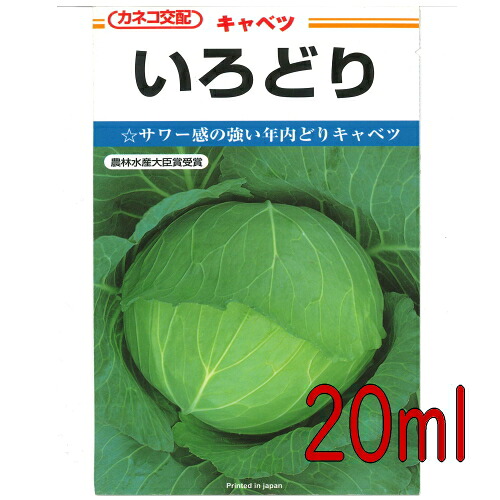 【入荷次第出荷】カネコ種苗　いろどりキャベツ　２０ｍｌ