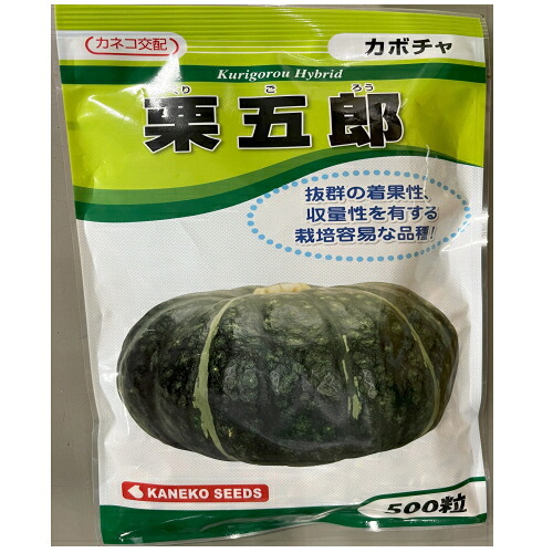 【入荷次第次第に積みだし】カネコ種苗 栗五郎 西洋カボチャ ５００粒