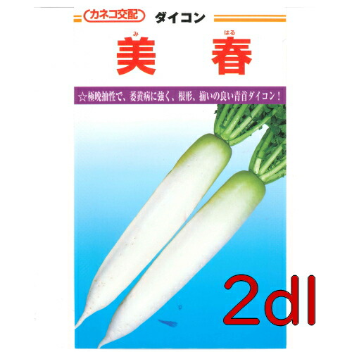 【入荷次第次第に積みだし】カネコ種苗 美春大根役者 ２ｄｌ