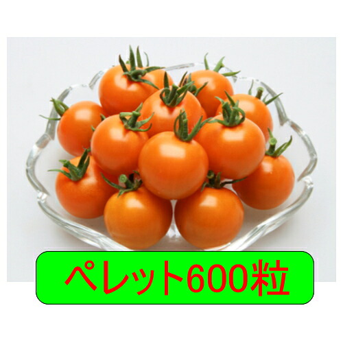 【入荷次第次第に積みだし】カネコ種苗 オレンジパルフェ ペレット600粒